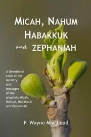 Micah, Nahum, Habakkuk and Zephaniah: A Devotional Look at the Ministry and Mess