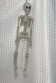 Halloween Skeletons Decoration Outdoor Indoor, Realistic 16" Full Body Posable P