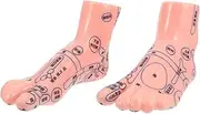 1Pair Realistic Foot Acupoint Model Educational Foot Massage Teaching Tool for Students Experts Durable Foot Massage Model for Demonstration Learning