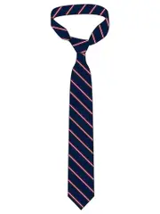Snr Navy/Maroon/White Boys Tie