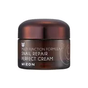 Mizon Face cream with 60% filtered snail secretion for problematic skin (Snail Repair Perfect Cream) 50 ml