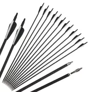 Carbon Arrows for Archery Bow 31.5inch ID 6.2mm Arrows for Recurve Compound Bow