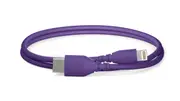 Rode SC21 Purple 30cm USB-C to Lightning Cable