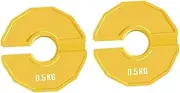 Oshhni 2Pcs Fractional Weight Plate Dumbell Weight Small Change Plate for Standard Barbells Professionals Aiding Strength Building