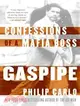 Gaspipe ─ Confessions of a Mafia Boss