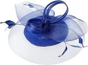 [Minkissy] 1Set Elegant Pillbox Hat Fascinator for Women Vintage Wedding Headwear Lightweight Cocktail Tea Party Accessory for Formal Occasions and Masquerades Stylish Blue