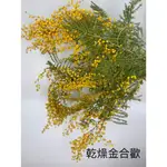 “BE A FLORIST 花藝夢” 進口 乾燥金合歡 乾燥花材 永生花