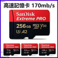 在飛比找Yahoo!奇摩拍賣優惠-臺灣公司貨 SanDisk 高速記憶卡 1TB 512G m