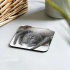Spider Themed Cork-back coaster