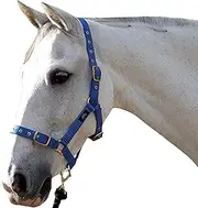 Hy Holly Fully Adjustable Head Collar (UK Size: Full) (Royal)