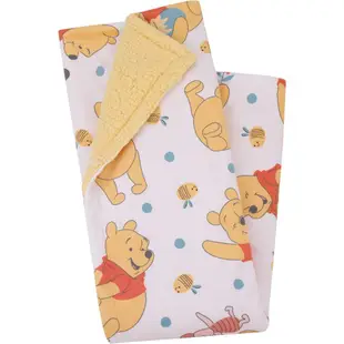 預購 ❤️正版❤️美國迪士尼 BABY 嬰兒 Winnie The Pooh 小飛象屹耳毛毯 毯子 棉被 新生兒 小豬