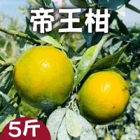 在飛比找台灣好農優惠-This味鳳梨販賣部 帝王柑5斤