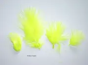 Marabou Feathers Small 1-3" fluffs Florescent Chartreuse 7 grams approx 105 ct
