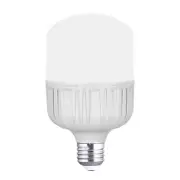 Neewer 2 Packs E26 24W 2160 Lumens/5700K/CRI 93+/15000h Lifespan LED Light Bulbs