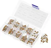 HEALSOPTHY Multilayer Ceramic Capacitors Assortment Pf-nf Kit Wide Range for Hobbyists and Engineers