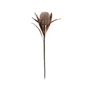 70cm Sand Banksia Artificial Native Flowers
