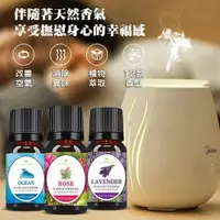 在飛比找蝦皮購物優惠-【Elegant Lite】澳洲品牌 ELEGANT LIF