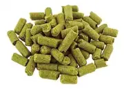 Santiam PELLET HOPS Home Beer brewing ingredients 1oz PK homebrew
