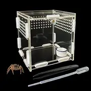 GKPONSX Magnetic Acrylic Spider Terrarium, Transparent Jumping Spider Enclosure with Dropper Tweezers Bowls for Insect Spider Crickets Gecko Scorpion Sling Mantis Frog Isopods Snails Hermit Crabs