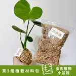 【双森道🌱】超多植物可選搭！DIY苔球材料包｜禮物/畢業/居家/親子/手作/團康/企業/布置/活動/課程/補習安親班