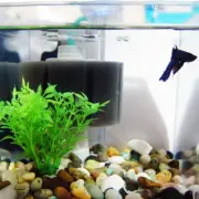 ATI Hydro Sponge Mini Complete Authorized Sm Tanks, Bettas...