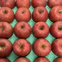 在飛比找蝦皮購物優惠-【日本原裝進口信濃金CA 】富士蜜蘋果 季節性  限定 水果