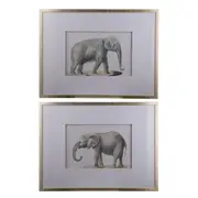 Set of 2 Elephant Framed Prints Wall art
