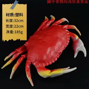 仿真螃蟹假龍蝦海參生蠔魷魚大閘蟹大號海鮮模型道具玩具教具硅膠