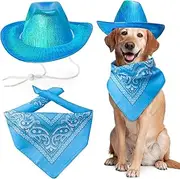 Dog Cowboy Hat Dog Cat Cowboy Hat Costume Cowboy Accessories for Pet Space Shiny Cowboy Hats for Dog Cat (Blue, One Size)