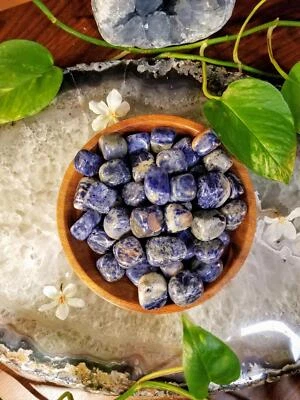 Sodalite Tumbled Stone/ Polished Pebbles/ for Crystal Healing & Grids