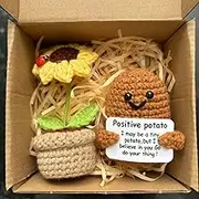 2PCS Positive Mini Potato Funny Gifts, Emotional Support Sunflower Pot Desk Decoration Crochet Birthday Gifts for Children Women Mom Best Friend (Sunflower & Potato-C)