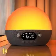 Sunrise Alarm Clock with Bluetooth Speaker, White Noise Sound Machine for Sle...