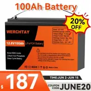 12V 100Ah Lithium Battery Iron LiFePO4 BMS Phosphate Rechargeable Camping RV 4WD