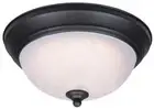 Westinghouse 6400600 - Dimmable LED Indoor Flush Mount Ceiling Fixture