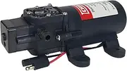 Chapin International 6-9206 12V 1.0 GPM Diaphragm Pump, Black