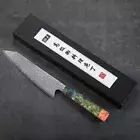 New Premium kitchen Chef knife laser Damascus vg10 slicing knife sushi knife