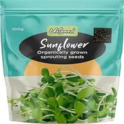 Untamed Health Sunflower Earth Friendly Sprouting Seeds 100 g