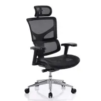 在飛比找Yahoo!奇摩拍賣優惠-Ergoking全功能網布人體工學椅 171-S+（黑/灰）