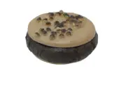 Display Faux Food Prop Baskin Robins Chilly Burger Chocolate Chocolate Chip New