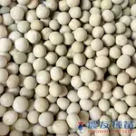 《農友種苗》芽菜種子 SPR-029 豌豆1KG