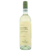 Pasqua Pinot Grigio Delle Venezie DOC - Buy Online | The Wine Collective Marketplace