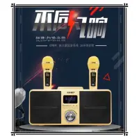 在飛比找iOPEN Mall優惠-8H出貨 SD-309藍牙音箱 v家庭KTV k歌神器無線d