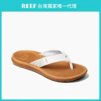 在飛比找momo購物網優惠-【REEF】REEF 經典 SANTA ANA系列 人體工學