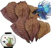Fish Almond Leaves - Aquarium Catappa Leaves, Catappa Indian Almond Leaves | Almond Catappa Leaves, Ph Down Aquarium Ketapang Leaves, Dried Indian Almond Leaves for Breeding, Fish Tank Water