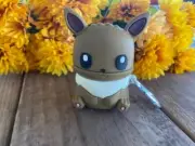 Evee Ipod 1/2 regular case