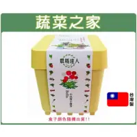 在飛比找momo購物網優惠-【蔬菜之家】iPlant小農場系列-小品菊(可任意組合盆栽)