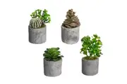 Glamorous Fusion Set Of 4 Assorted Succulent Artificial Fake Plant Decorative In Pot - Green