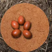 4 Pcs Hatching Egg Gasket Chicken Nest Protective Mats Pigeon Pads