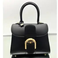 在飛比找蝦皮商城優惠-Delvaux Box 小牛皮 Mini Brillant包