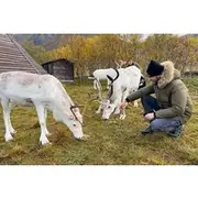 Save 19.99%! Sami Reindeer Experience